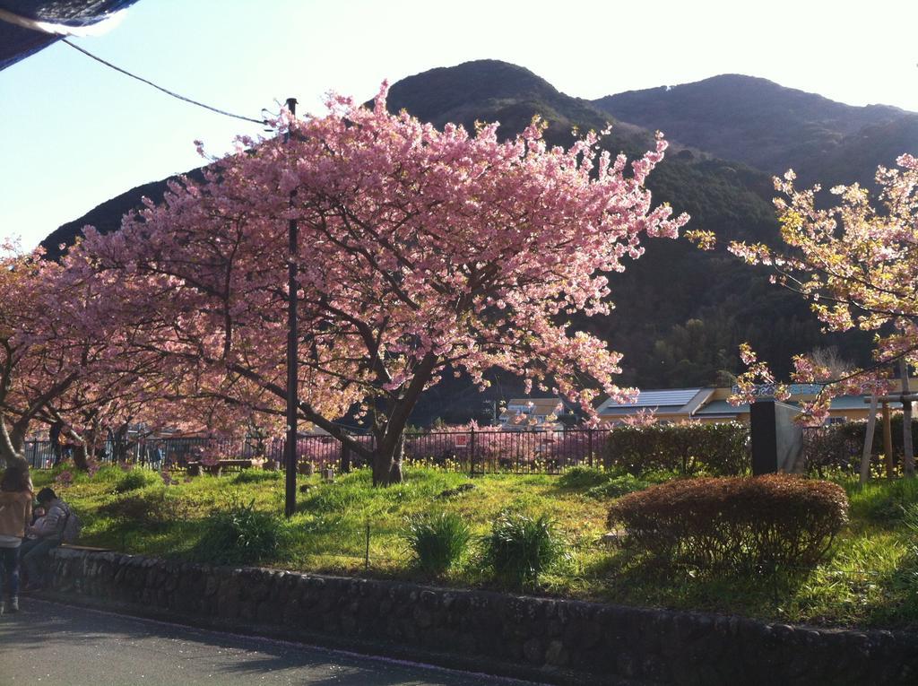 Hôtel Hareya à Shimoda  Extérieur photo