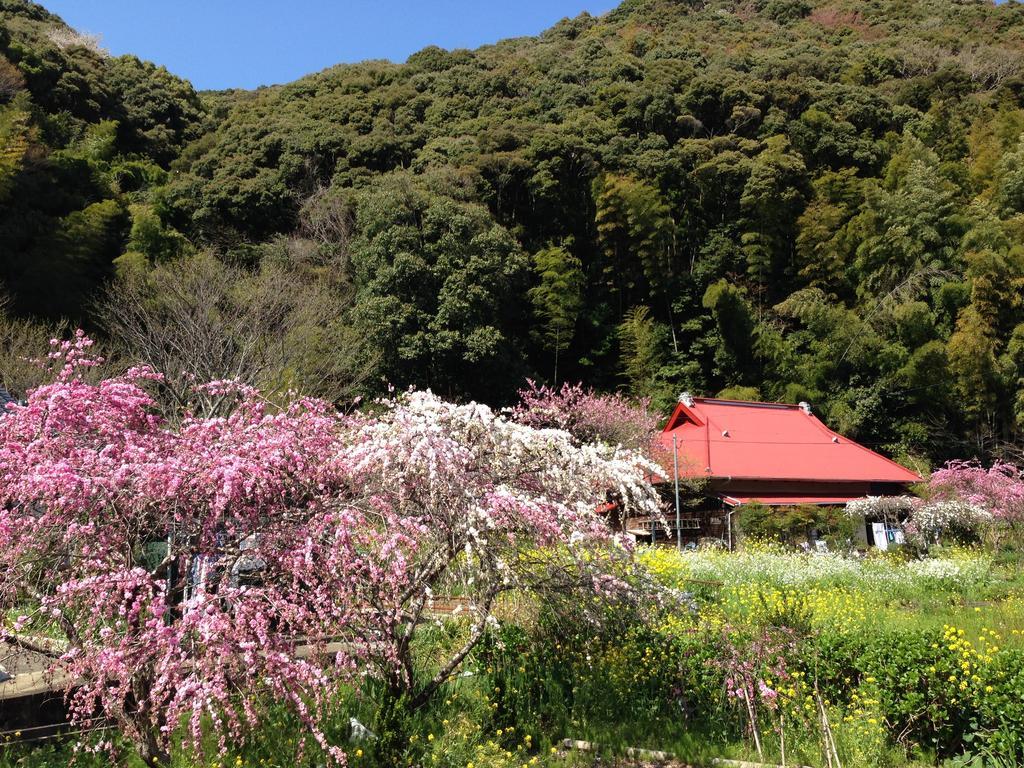 Hôtel Hareya à Shimoda  Extérieur photo